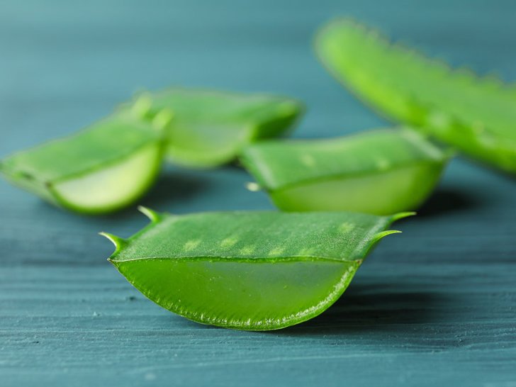 Aloe Vera