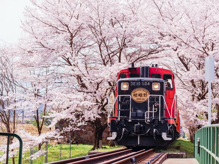 Sagana, Kyoto