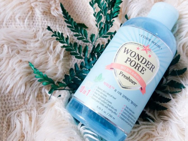 Kesimpulan Etude House Wonder Pore Freshner