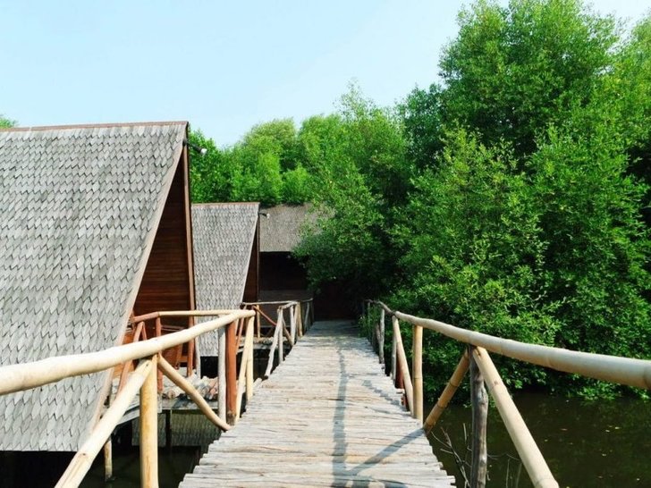 Tempat Pacaran di Jakarta - Hutan Mangrove PIK