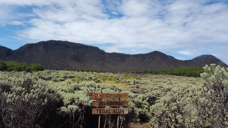Gunung Yang Cocok Untuk Pemula - Gunung Papandayan