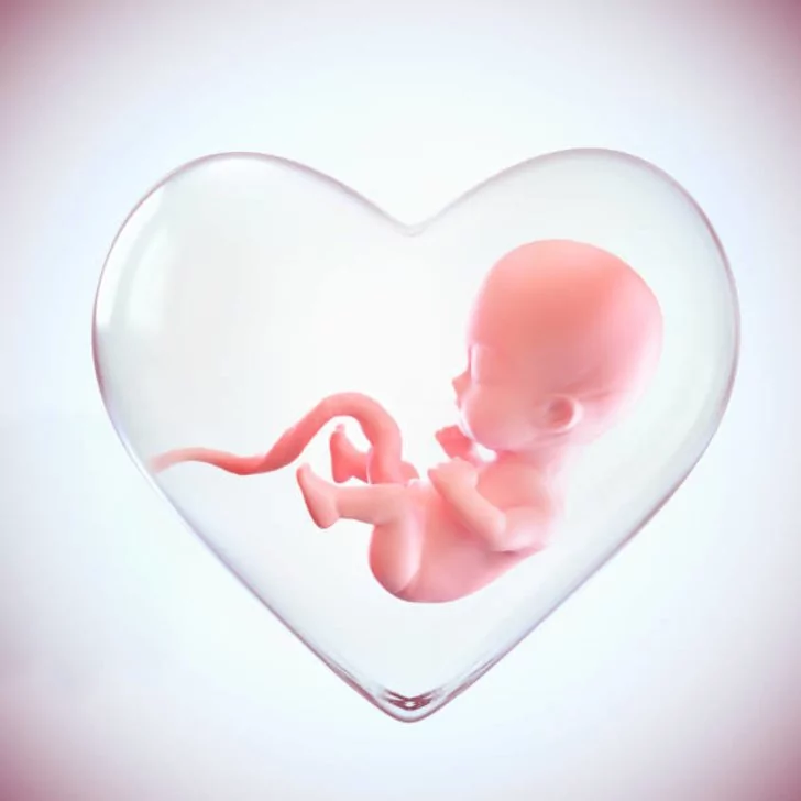 Tinggi fundus uteri terlalu kecil menggambarkan janin yang berukuran kecil