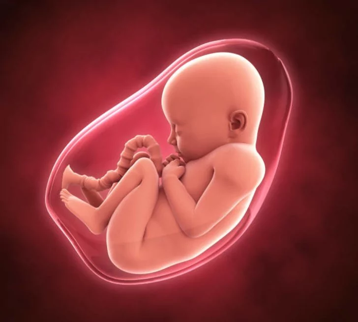 Tinggi fundus uteri terlalu besar bisa jadi menandakan bayi sungsang